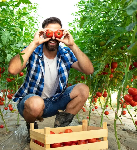 Aashapura Panchratna offers nutrient-rich non-sortex pulses with natural texture and wholesome taste.