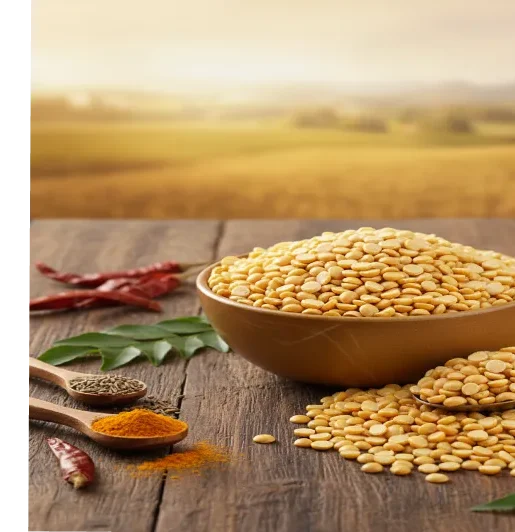 Pulses Processing